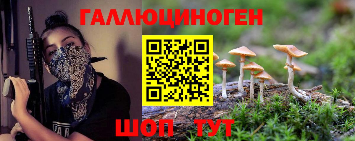 Псилоцибиновые грибы Psilocybe  купить  сайты  Кимовск  Вход с VPN 